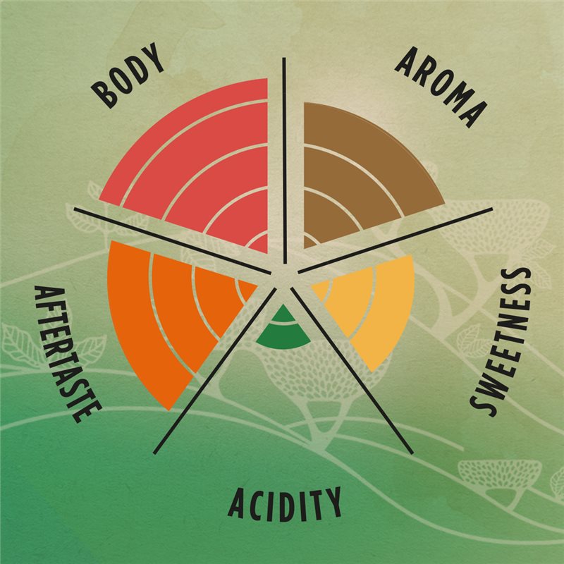 Lavazza Tierra Brasile Blend Espressobohnen – 1 kg 