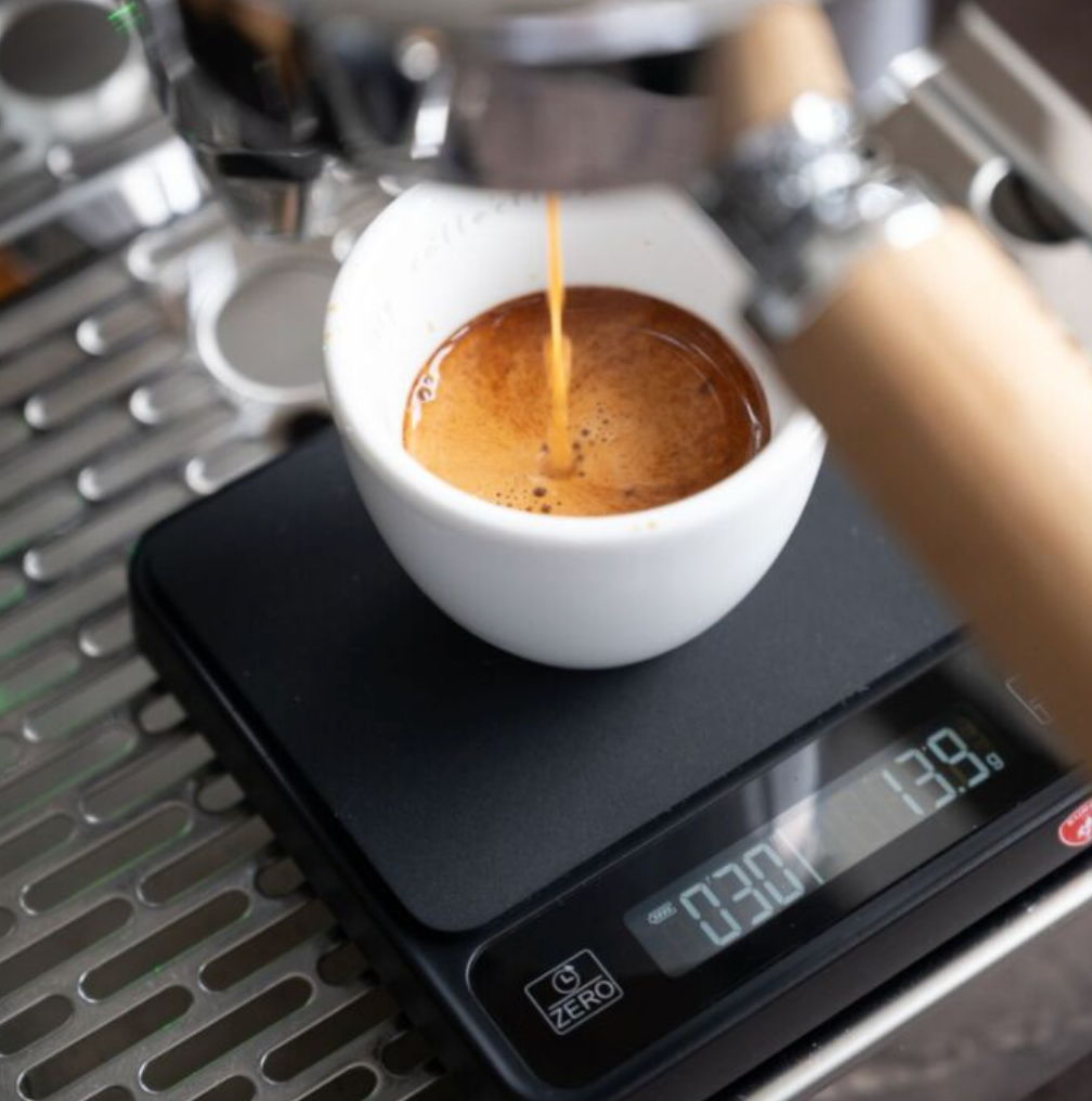 Eureka Mignon Pisa Coffee Grinder Black + Free Precisa Digital Scale